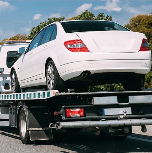 Transportamos Vehículos, Contenedores y Maquinaria a Nivel Nacional | Rotany Grua